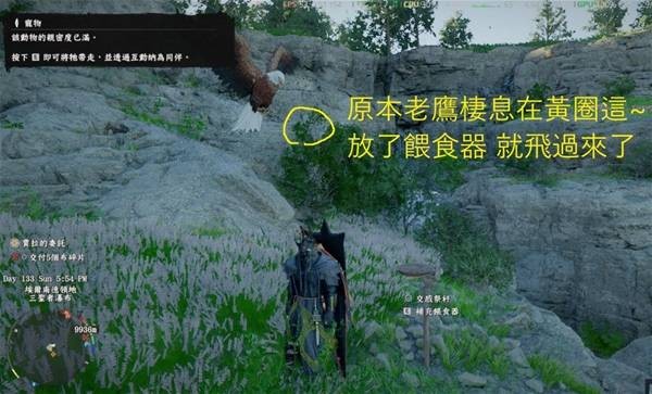 红色沙漠老鹰抓取攻略