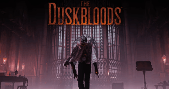 宫崎英高新作《The Duskbloods》确认支持合作模式!但要等正式版