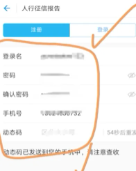 征信支付宝可以查吗  征信支付宝怎么查