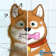 房屋整洁